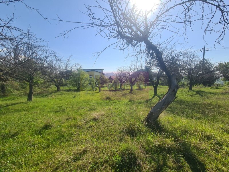 Teren de vanzare in Campina