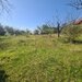 Teren de vanzare in Campina