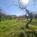 Teren de vanzare in Campina